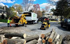 Best Lawn Drainage Solutions  in Wilber, NE